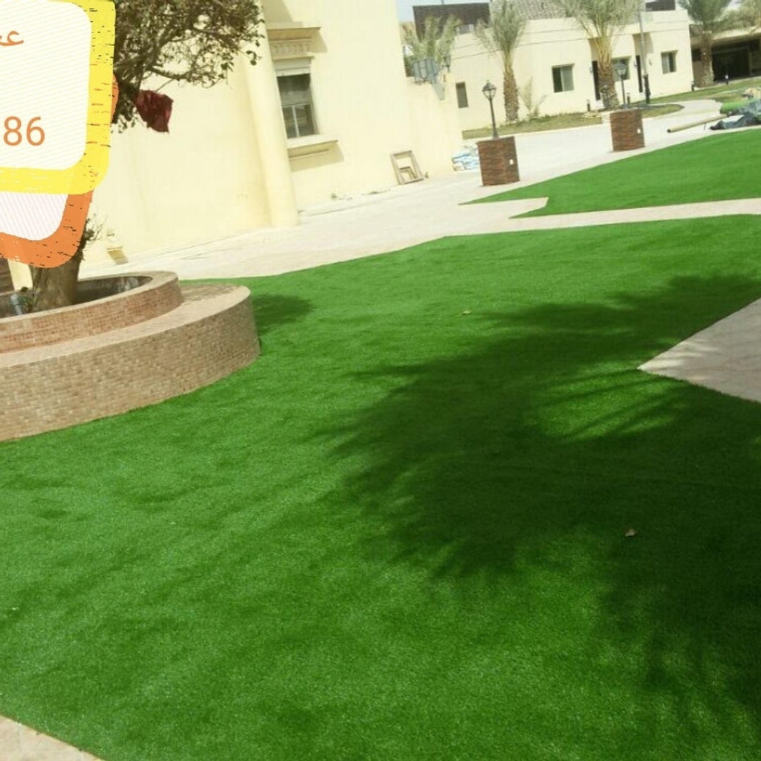 TopSaver104155823